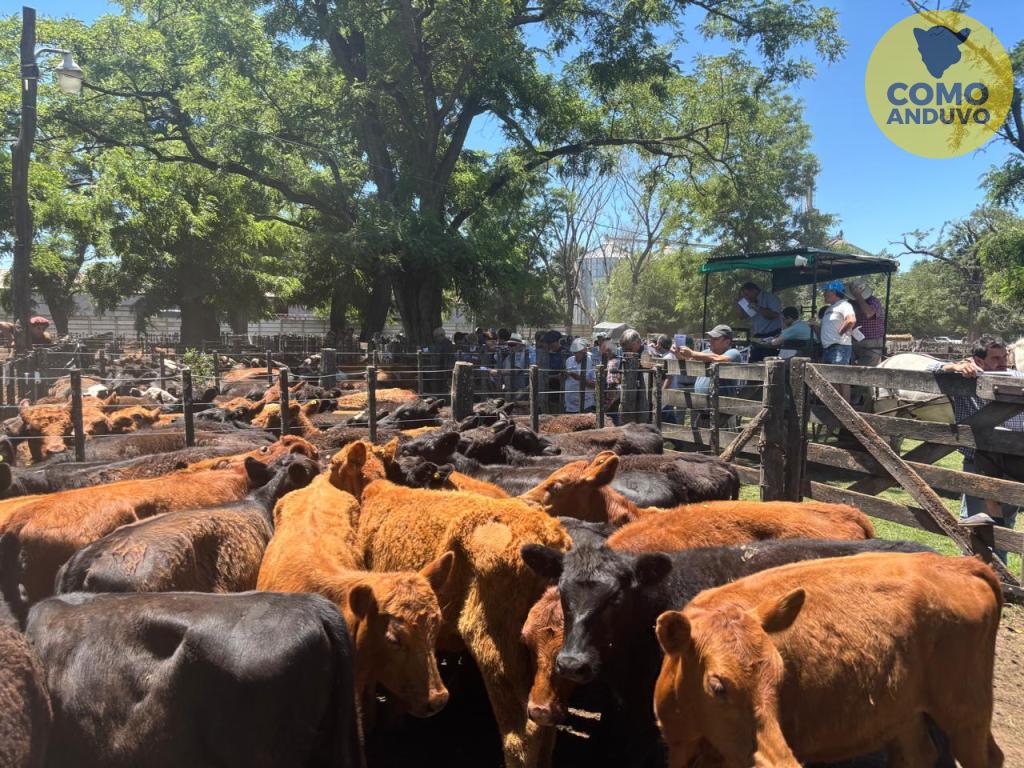 Arribere, Ugarte y Cía